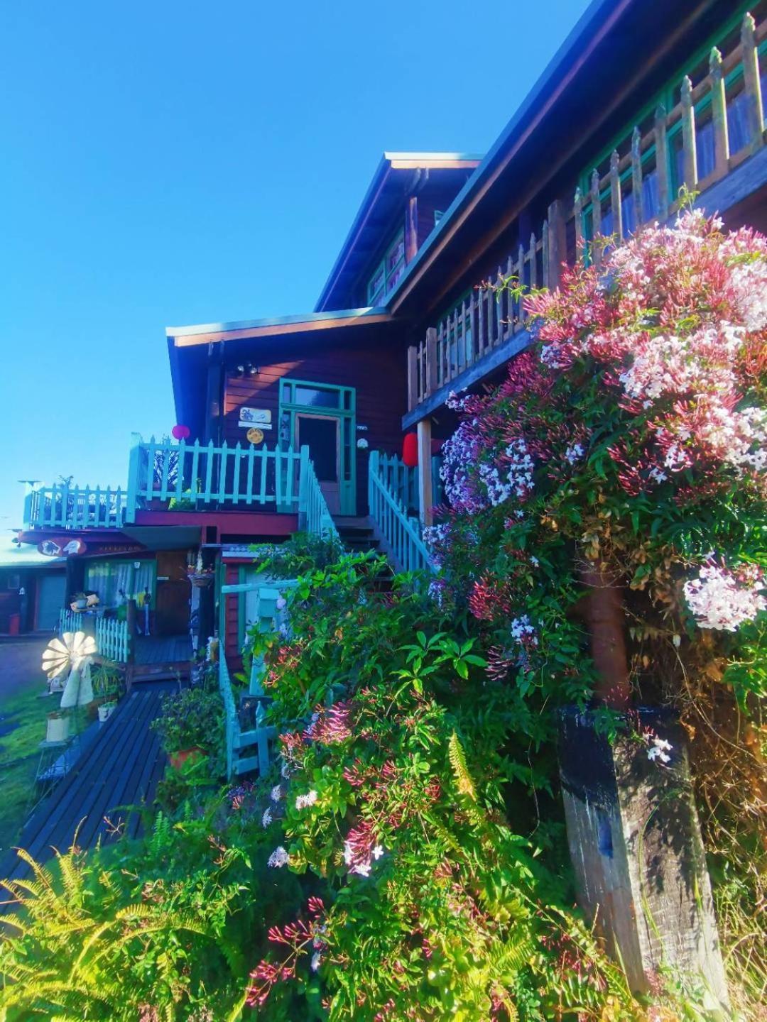 The Goat And Goose Bed & Breakfast เลคส์เอนทรานส์ ภายนอก รูปภาพ