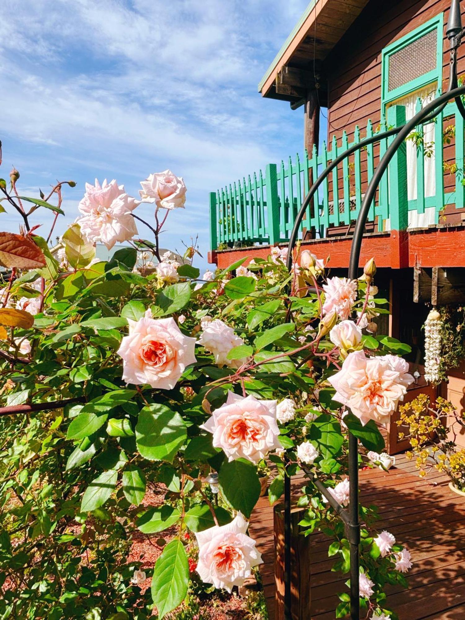 The Goat And Goose Bed & Breakfast เลคส์เอนทรานส์ ภายนอก รูปภาพ