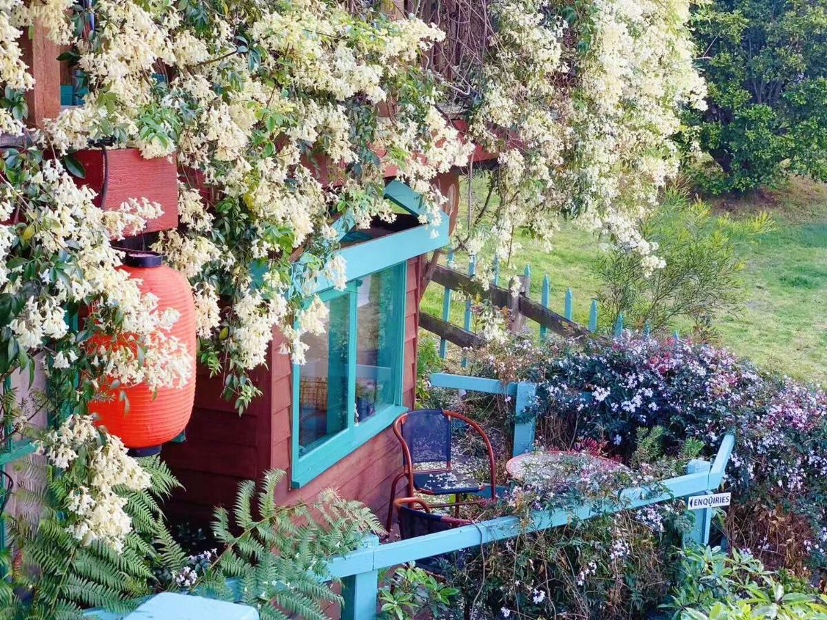 The Goat And Goose Bed & Breakfast เลคส์เอนทรานส์ ภายนอก รูปภาพ